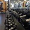 Dumbbells in a row, in a gym